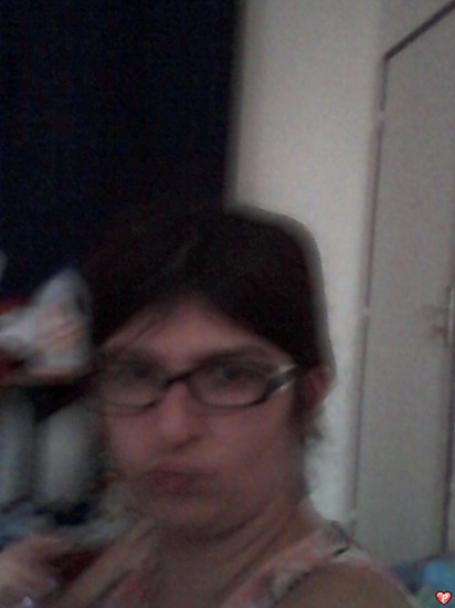 Chat lhay les roses